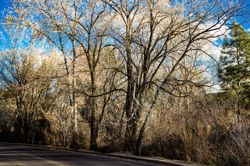 Canyon Road, Santa Fe