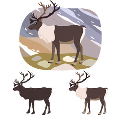 North reindeer stands on a background of rocky hills