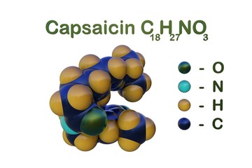 Structural chemical formula and space-filling molecular model of capsaicin, an active component of chili peppers. 3d illustration