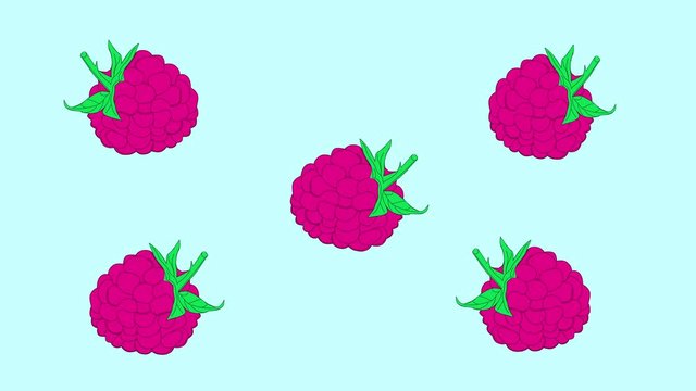 Fresh pink red dancing raspberry background. Funny clip. Hand drawn animation.