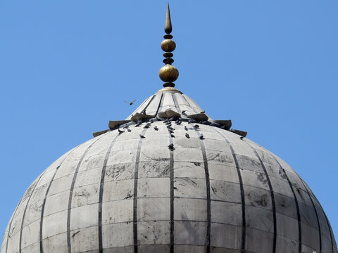 Flock of birds on the dome of the cathedral mosque Jama Masjid. Delhi, India.
