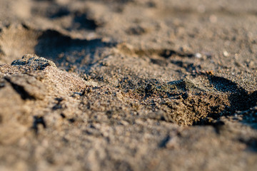 Georgia, Magneti. magnetic sand on the beach, close-up