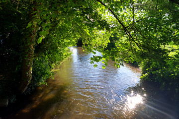 Obraz premium Ecole river in the French Gâtinais regional nature park