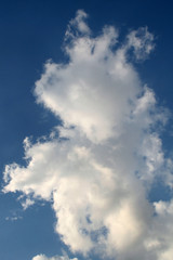 Beautiful light overcast clouds on a background of blue sky