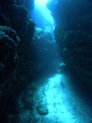Scuba diving in Amami island, Japan