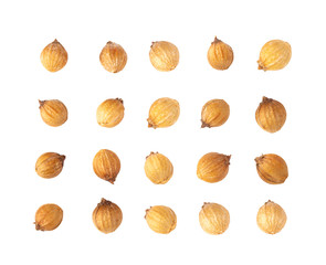 Coriander seeds on white background.  top view