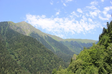 Obraz premium mountain landscape with trees and clouds