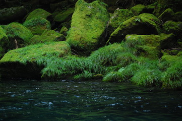 Kikuchi river in Japan
