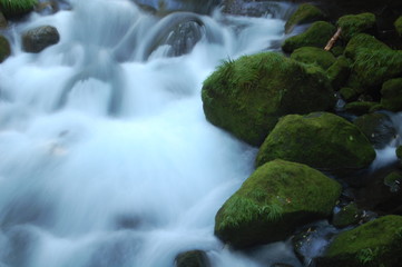 beatiful flow in Kumamoto Japan