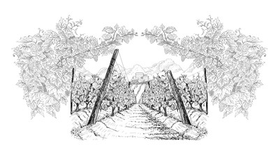 Vineyard with farm on horizon inside of decorative arc from grapes and vines. Landscape hand drawn in sketch style. Vector illustration on white