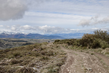 Fototapeta na wymiar The main pilgrimage route to Santiago