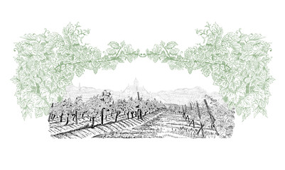 Obraz premium Vineyard with old town on horizon inside of decorative arc from grapes and vines. Landscape hand drawn in sketch style. Vector illustration isolated on white