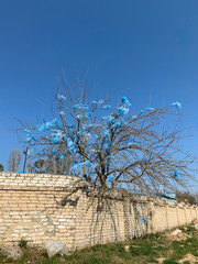 landscape with tree covered plastic bags. Nature and earth pollution. Trees covered with plastic...