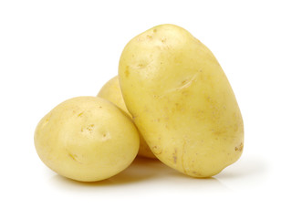 potato on a white background
