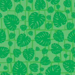 Cheese plant exotic tropical monstera house plant leaves. Vector repeat pattern. Great for apparel, home decor, backgrounds, wallpaper.