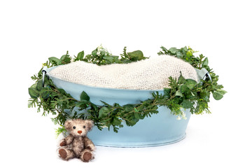 Newborn baby digital backdrop/background