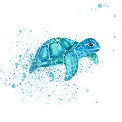 Aquarelle painting of turtle sketch art pattern illustration