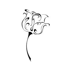 ornament 1173. one stylized flower bud on a short stem without leaves in black lines on a white background