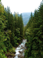 River in the mountains in summer.