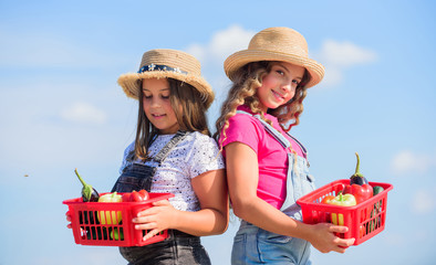 Village rustic style. Vegetables market. Natural vitamin nutrition. Organic vegetables. Girls cute children in hats farming. Kids gathering vegetables in basket. Selling homegrown food concept