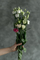 Bouquet of fresh flowers in the package. Female hand holds flowers near the gray wall.
