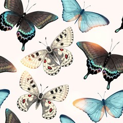 Vector pattern with high detailed vivid butterfly