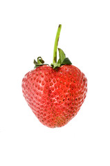 red strawberry on white background