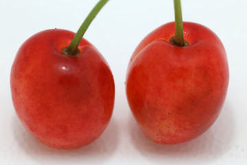 close-up of a pair of cherries on a white background