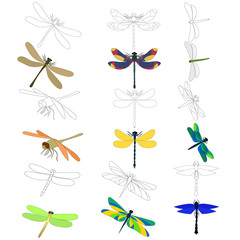 sketch, dragonflies on a white background, set