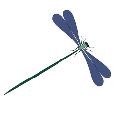vector, isolated, dragonfly flies, insect on a white background