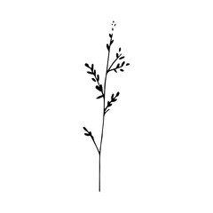 Sign hand drawn summer herb. Flower twig isolated on white background. black silhouette.Contour. Doodle outline vector illustration for wedding design,logo, greeting card.