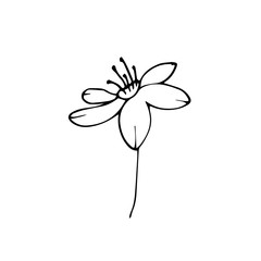 Sign hand drawn summer herb. Flower isolated on white background. black silhouette.Contour. Doodle outline vector illustration for wedding design,logo, greeting card.