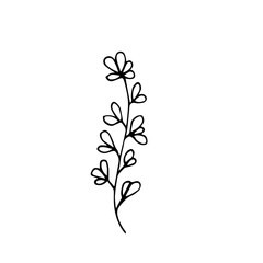 Fototapeta na wymiar Sign hand drawn summer herb. Flower lavender twig isolated on white background. black silhouette.Contour. Doodle outline vector illustration for wedding design,logo, greeting card.