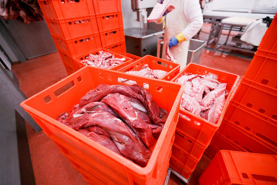 Frame picture of a many plastic red boxes with chopped fresh raw meat, a worker arranged a stored in a meat factory, industry process. Horizontal view.