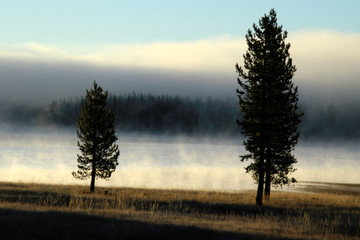 Morning fog on Medicine Lake, Modoc National Forest, Arizona