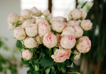 Fresh blooming flowers in a flower shop (pink roses)