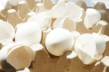 White eggshell. Rapidly decomposable trash