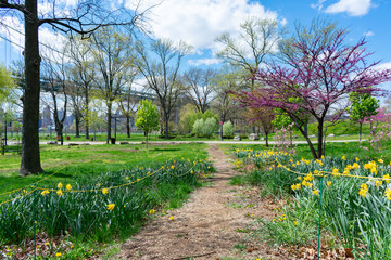 Colorful Flower Lined Spring Path on Randalls and Wards Islands of New York City