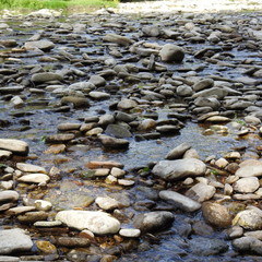 Fototapeta premium river and stones