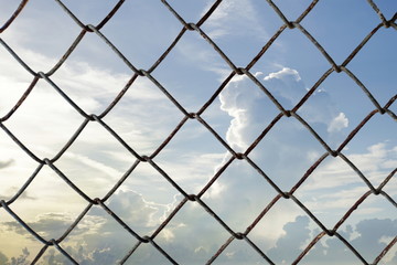 Fototapeta premium Decorative wire mesh of sky background
