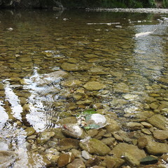 river and rocks