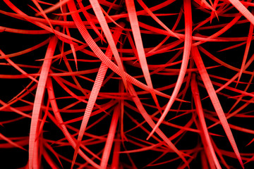 Abstract red stripe texture for backgrounds. Red lines pattern on a dark backdrop.