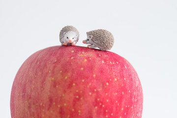 果物の上にある可愛い動物のフィギュア模型