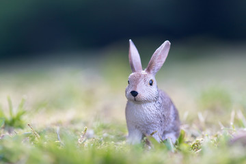 公園の芝生にある可愛い動物のフィギュア模型