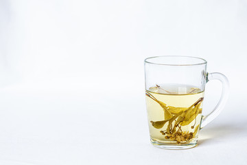 In a transparent mug tea with linden flowers on a white background