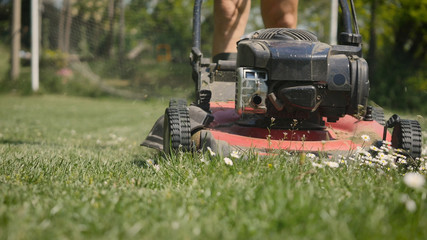 garden job lawn mower is cutting a field, spring gardening. Green blooming field.