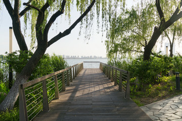 The landscape of city center park.