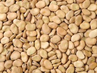 Pile of broad beans, background
