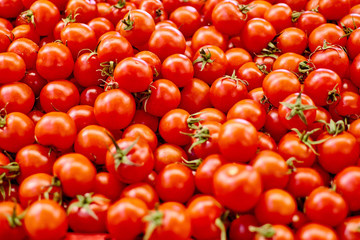 a lot of tomato on the counter.
