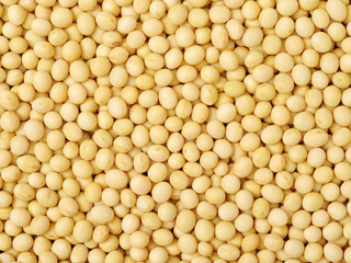 Soybean background